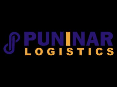 Puninar Log